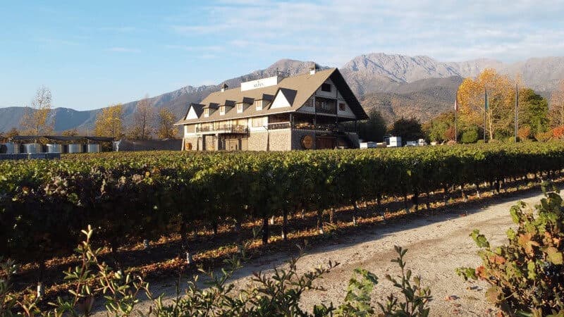Alyan Sunset Wine Experience