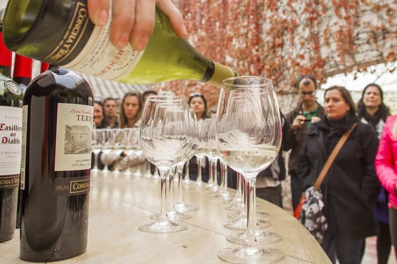 Concha y Toro Tour Premium