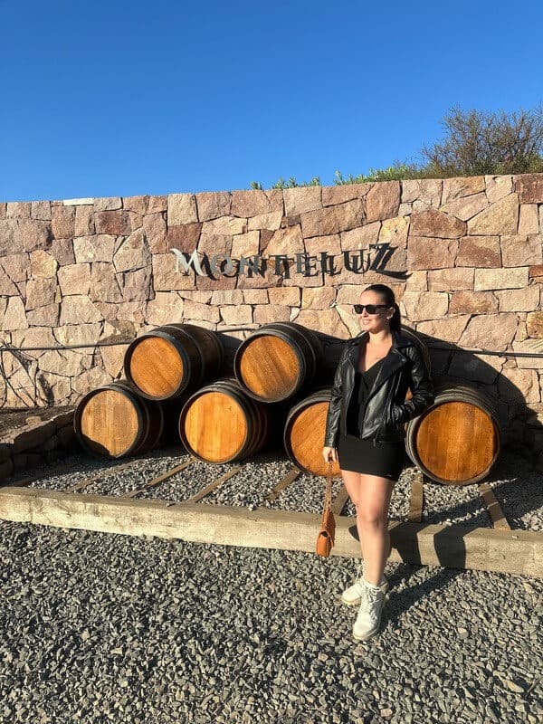 Monteluz Wines - Sunset & Festa